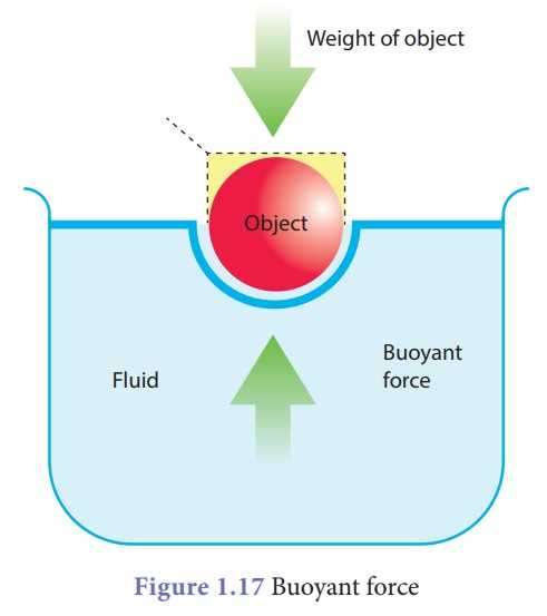 Discover the Key Answers to 13.3 Buoyancy in This Essential Guide 13.3 buoyancy answer key