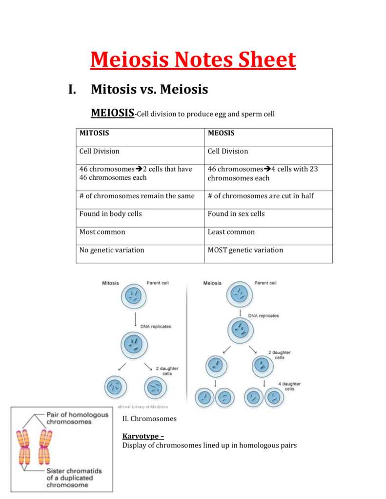 What is meiosis?