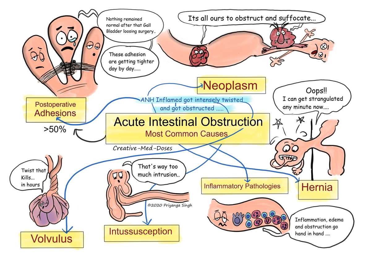 Examining the Molecular Basis of Disease