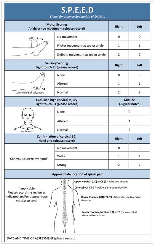 Motor System Assessment