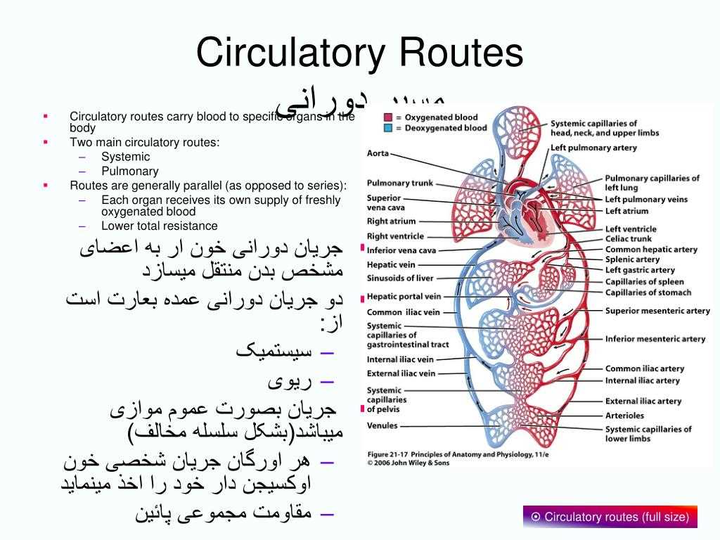 2. Create a study schedule
