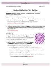 The Importance of Meiosis in Genetics