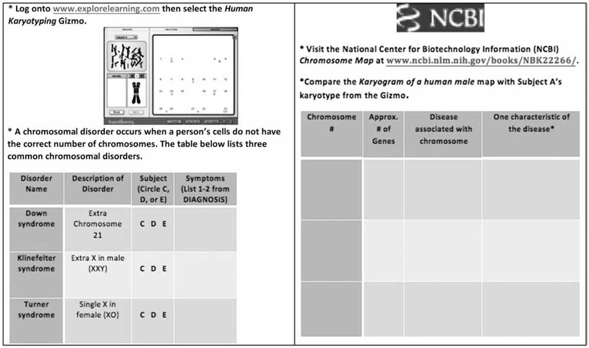 How to Use the Paramecium Homeostasis Gizmo?
