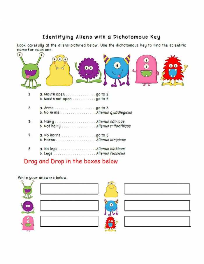 How to Use a Dichotomous Key for Snowflake Identification