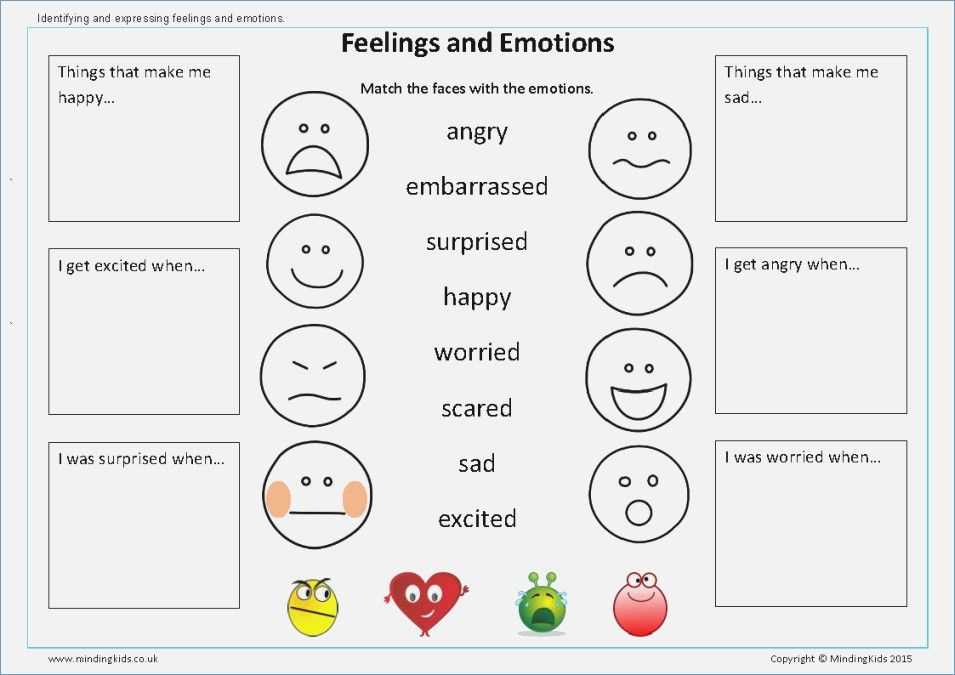 Considering the Cognitive Appraisal Theory of Emotion