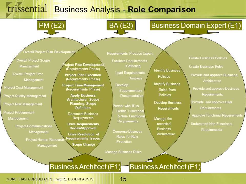 Importance of Business Analysis Planning and Monitoring