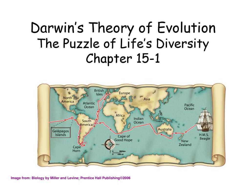 Examining Factors Affecting Life's Diversity