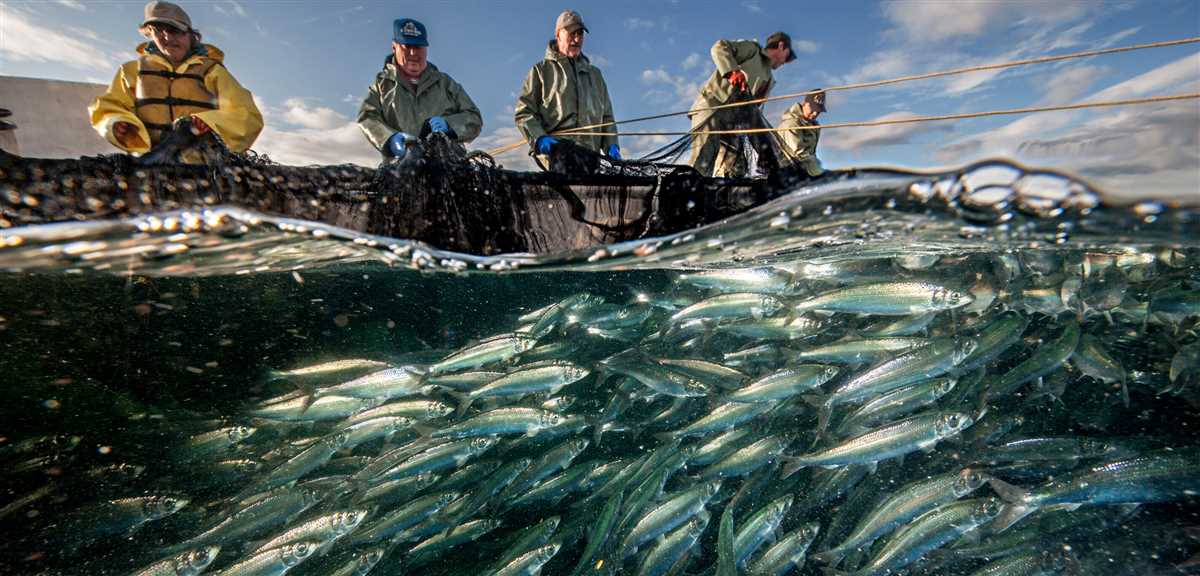 The Importance of Saving Gas for Fishermen