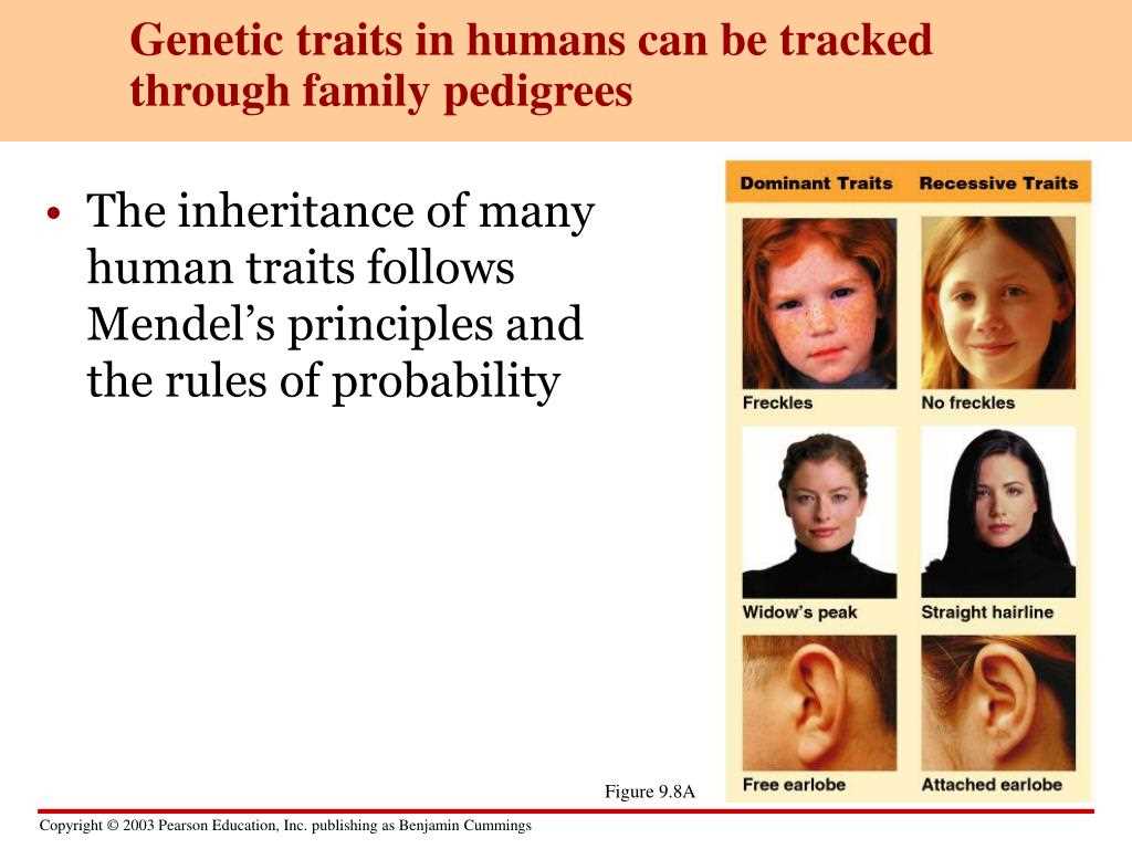 Unraveling the Mysteries of Human Genetic Traits - Insights from the Lab Human genetic traits lab answers