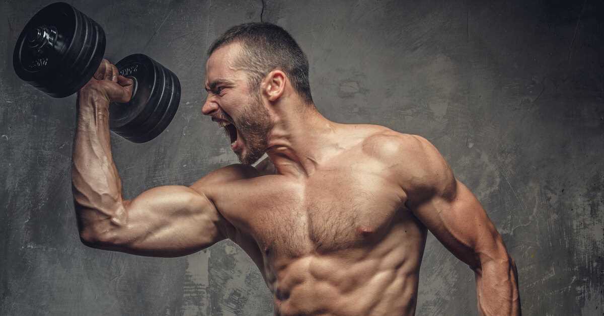 Grip Strength and Muscle Fatigue Lab Answers