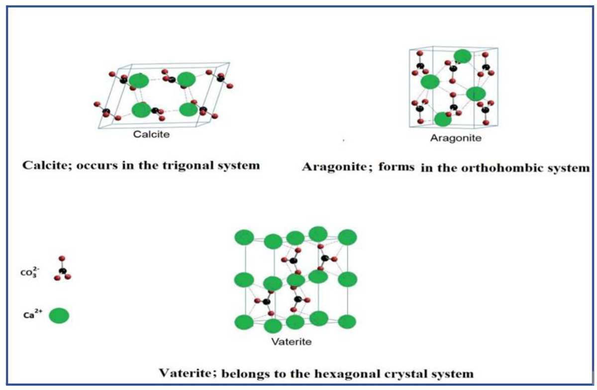 Synthesis of calcium carbonate lab mcgraw hill answers