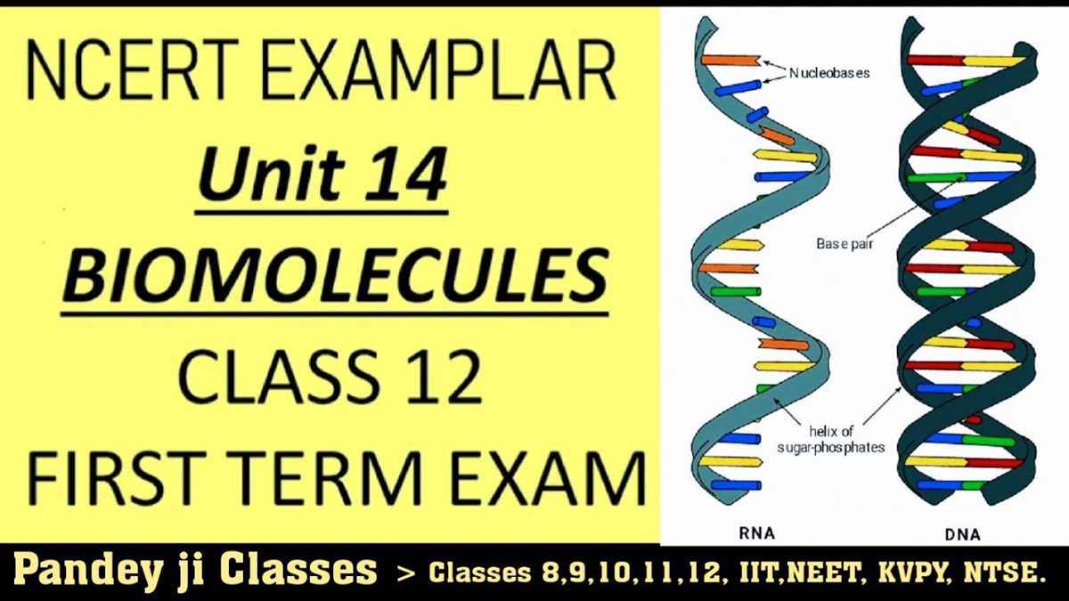 1. Prepare in advance