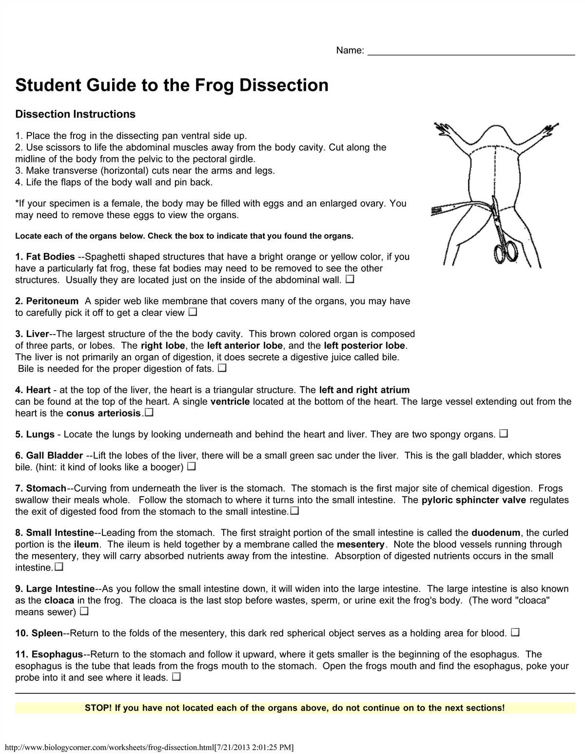 Chicken wing dissection lab answer key pdf