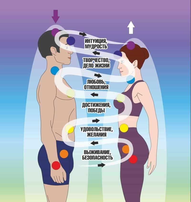 The Role of Human Energy in Modern Technology
