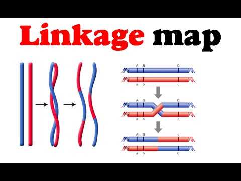 Challenges and limitations of gene linkage and mapping