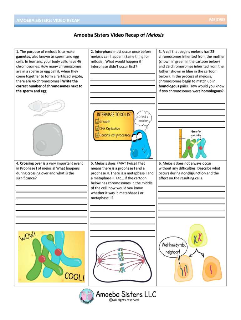 Main Features of the Answer Key