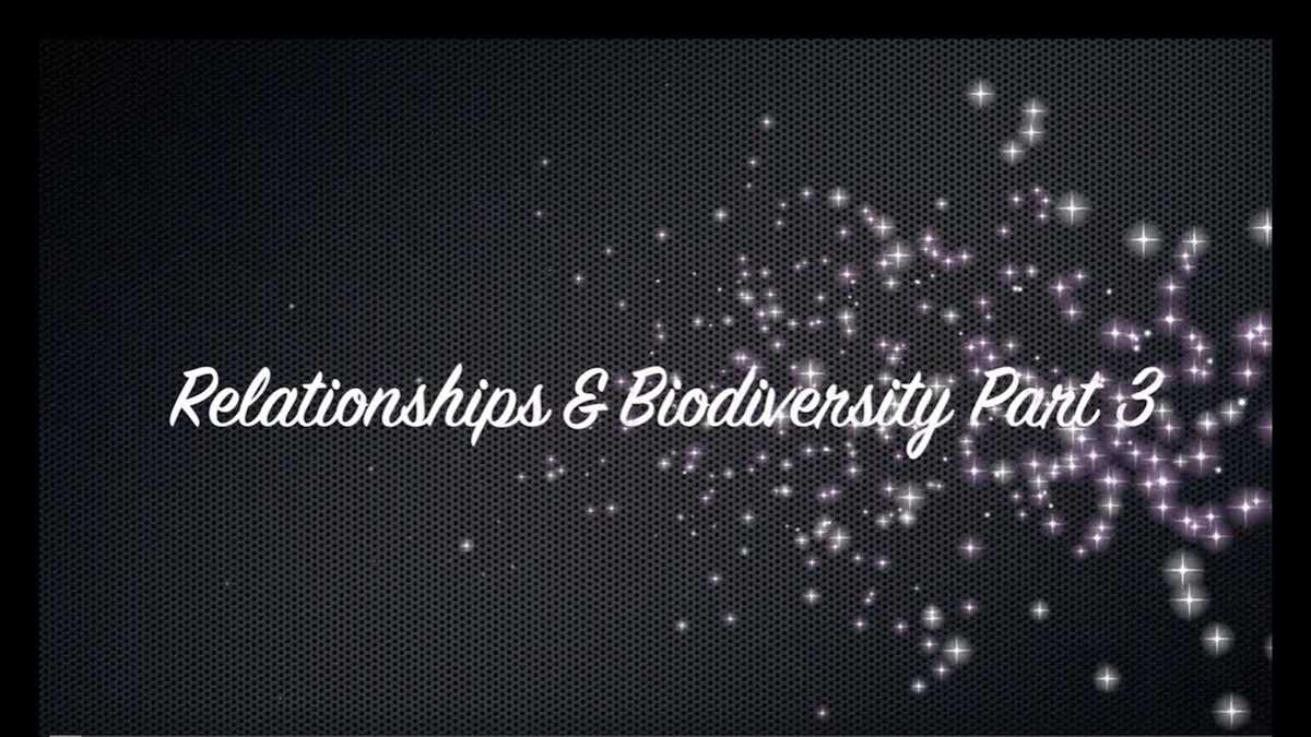 Understanding Relationships in Biodiversity