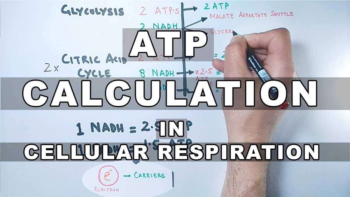 Bio 111 exam 1
