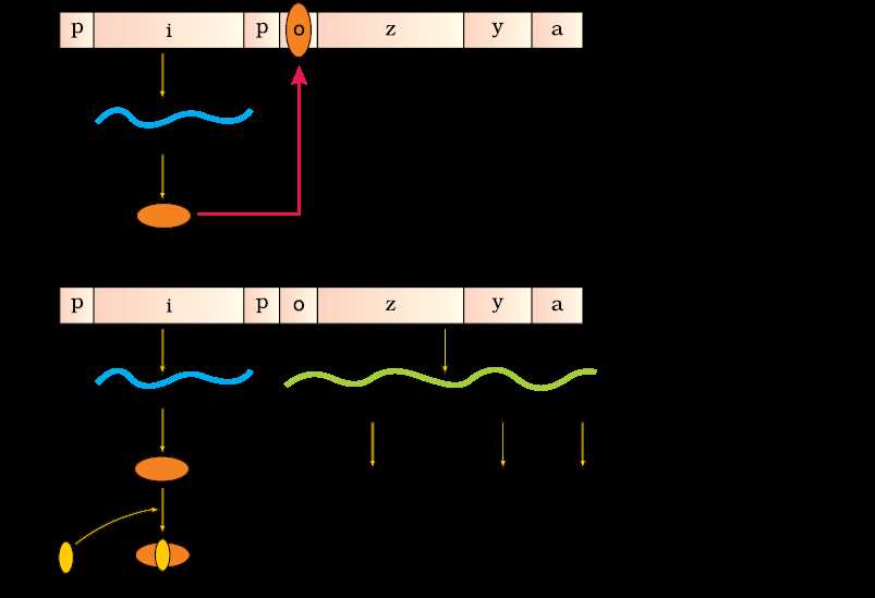 Use of Operon POGIL in Education