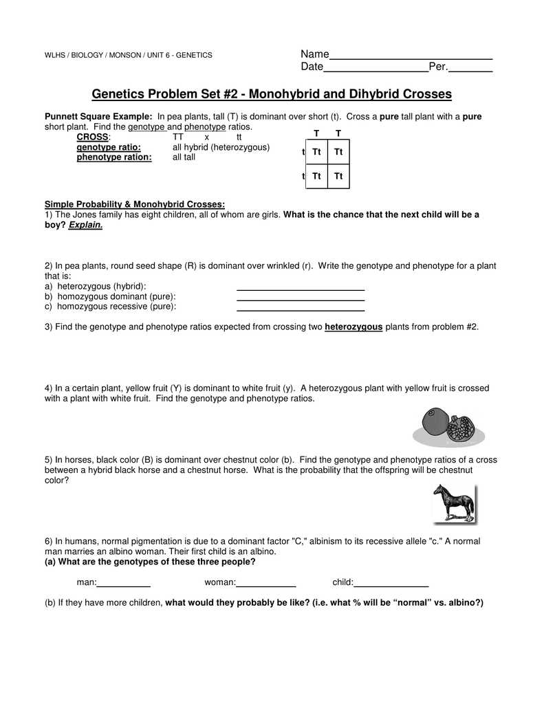 Cracking the Dihybrid Crosses Code - Unveiling the Answers step by step Practice dihybrid crosses worksheet answers
