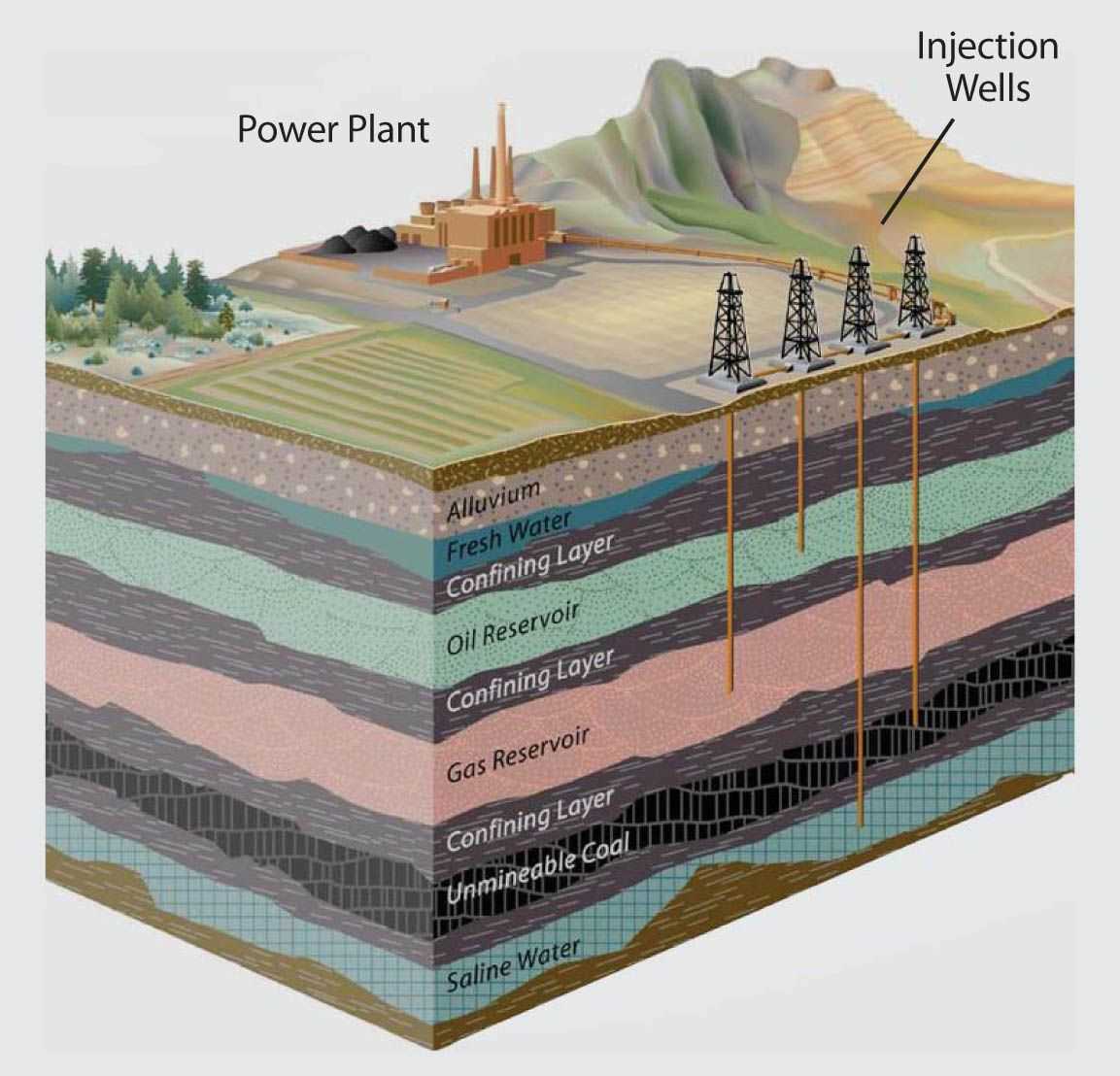 The Impact of Geology on Soil Composition