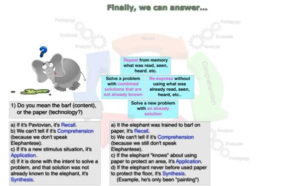 Examining Energy Flow in Food Chains