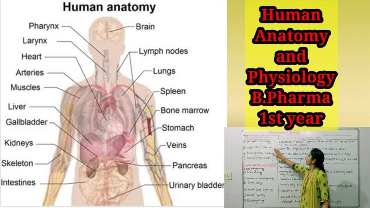 Anatomy-and-physiology-2-exam-1-with-answers anatomy-and-physiology-2-exam-1-with-answers