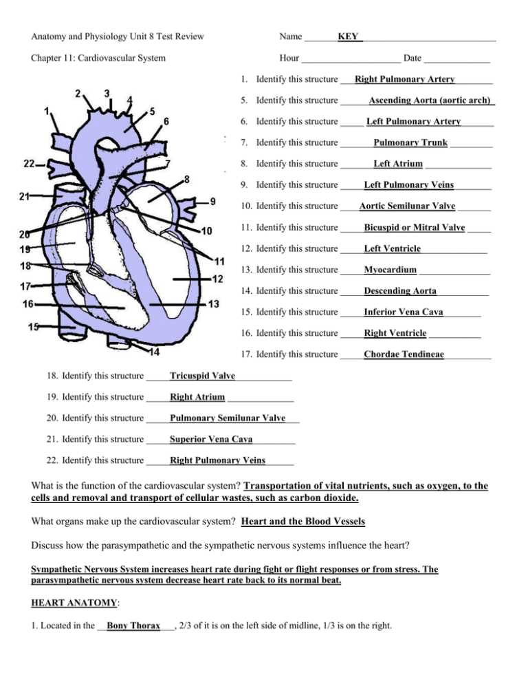 Anatomy-and-physiology-exam-2-answer-key anatomy-and-physiology-exam-2-answer-key