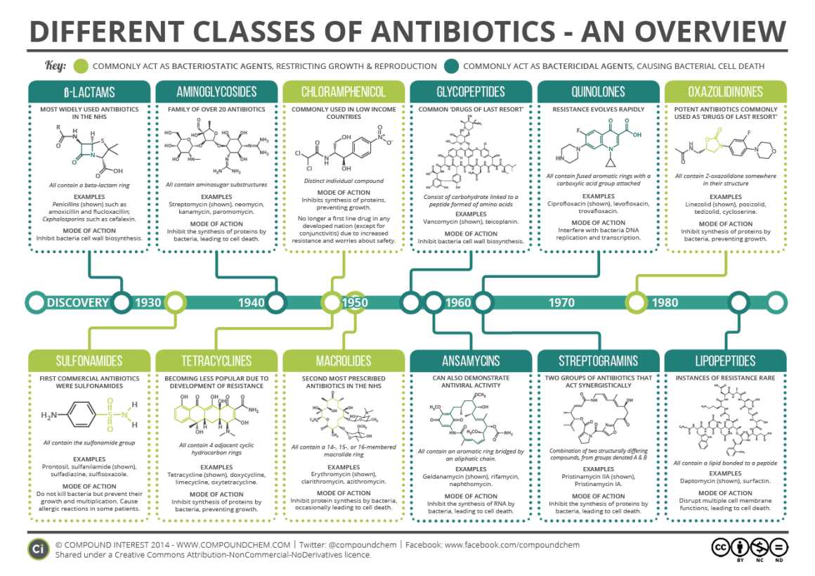 The importance of studying bacteria growth