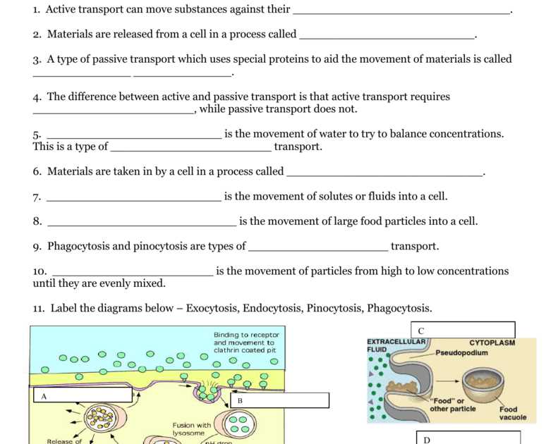 Frequently Asked Questions about Active Transport Coloring Answer Key