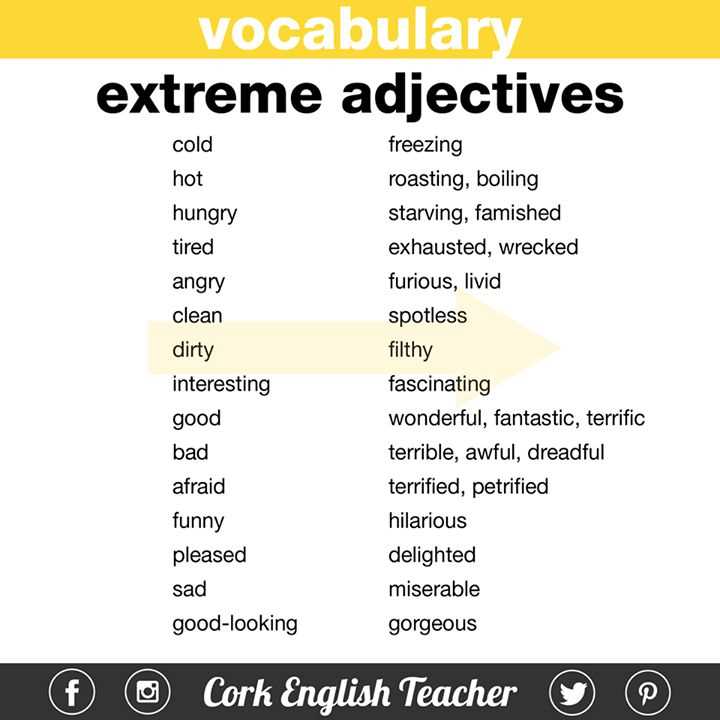 Fortify Your Word Arsenal - Handy Vocabulary Support at Your Fingertips Additional vocabulary support answers