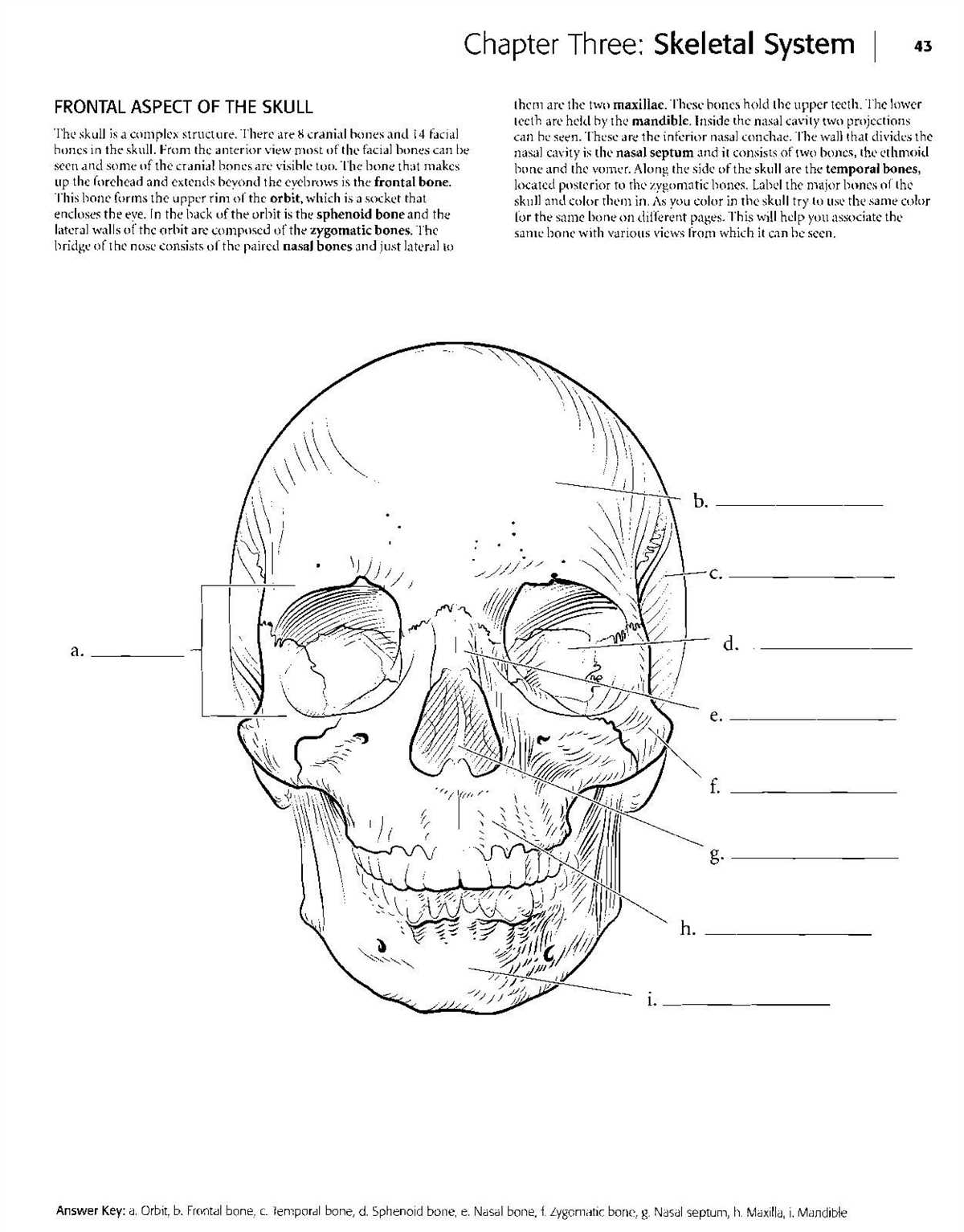 Key concepts in Chapter 5