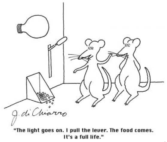 3. Can genetics alone determine behavior?
