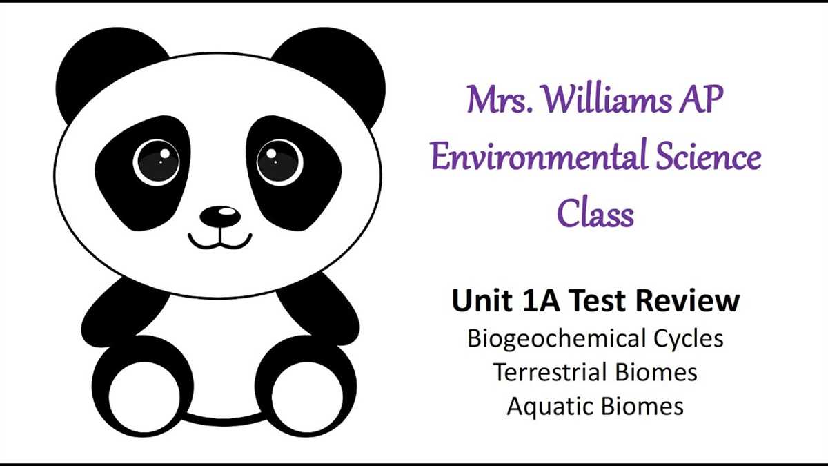 Importance of Apes Ch 5 Test