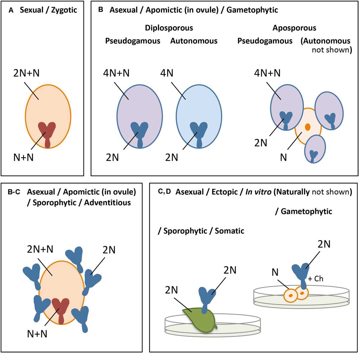 Sample Questions and Practice Resources for Bio 182 Exam 1