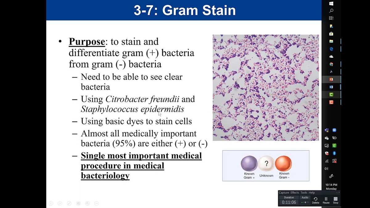 Common Mistakes to Avoid in Bio 210 Exam 3
