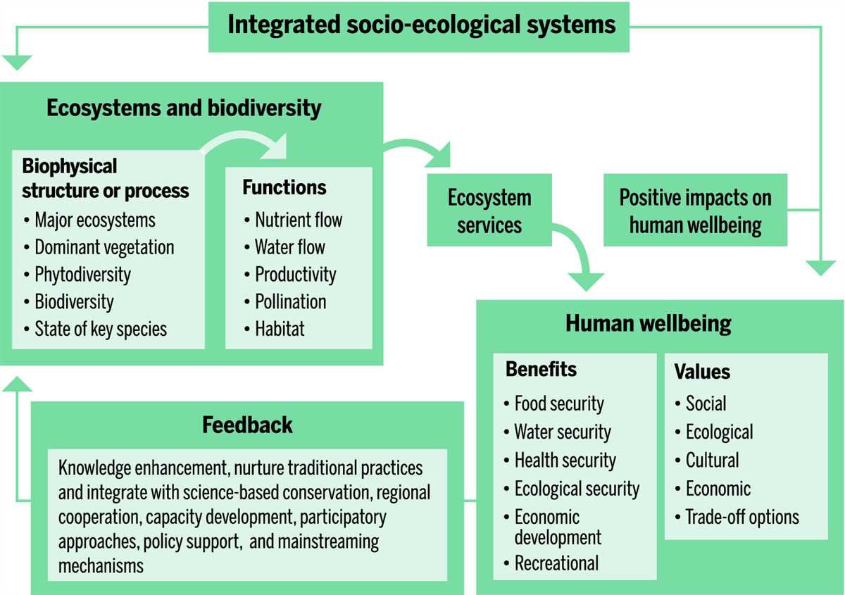 Future Research and Conservation Efforts