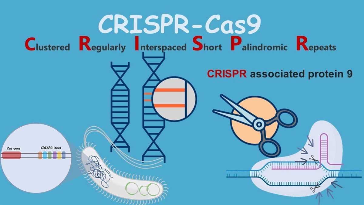 What is Crispr-Cas9?