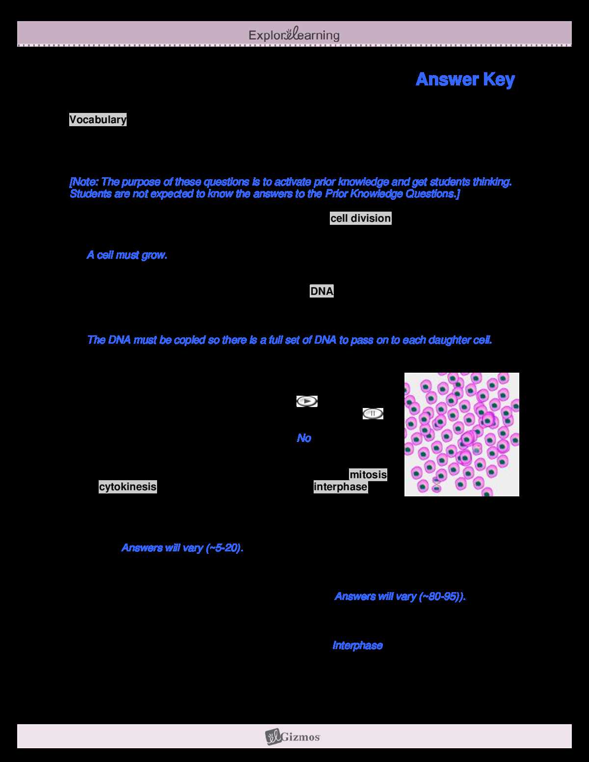 2. What are the main features of the Cell Energy Cycle Gizmo?