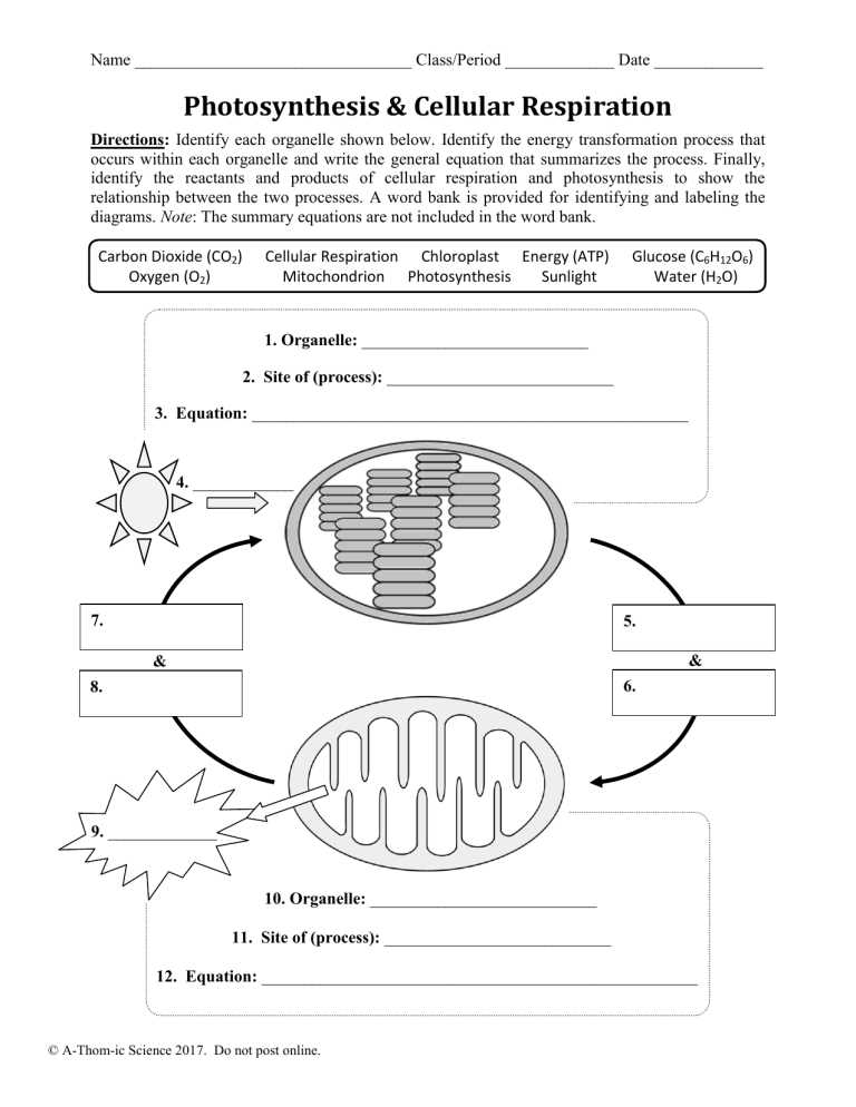 What is a cell?