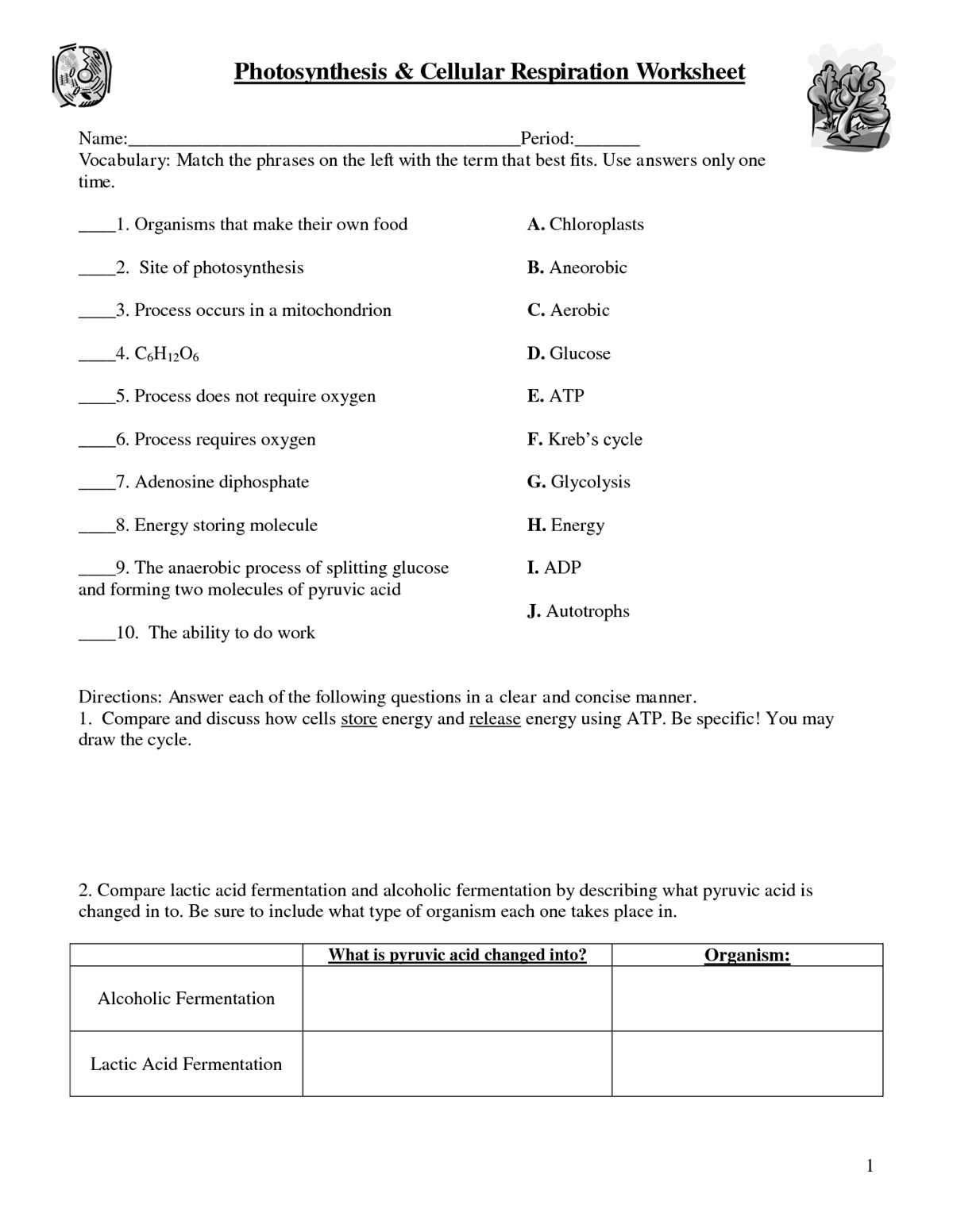 Key Concepts in Cellular Respiration