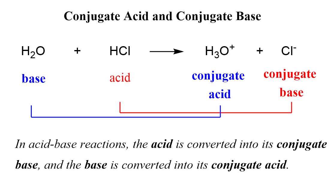 Conjugate acid base pairs answer key