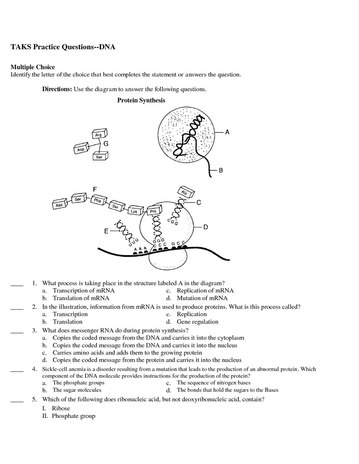 Unlocking the Secrets of DNA and Protein Synthesis - Comprehensive Test Answer Key Dna and protein synthesis test answer key