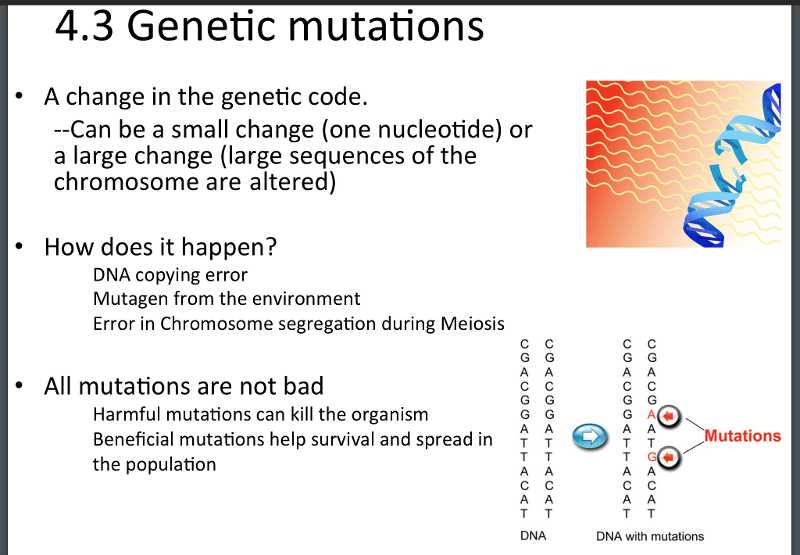 Translation: From RNA to Protein