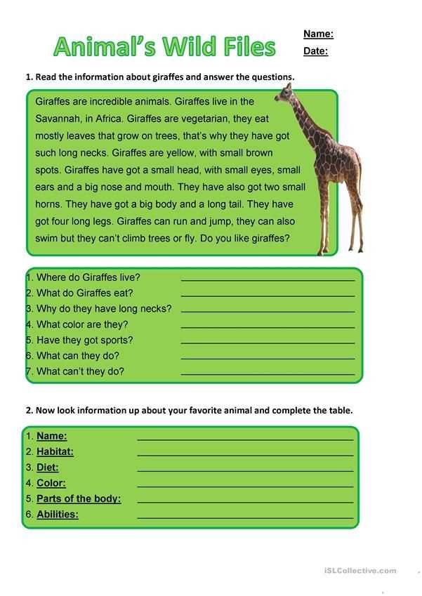 What is the concept of animals having multiple lives?