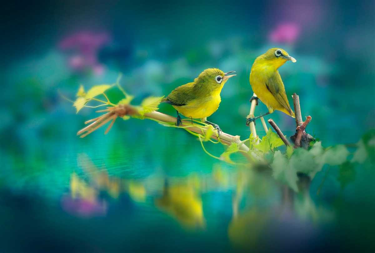 Finding the Answers to Bird by Bird StudySync Questions