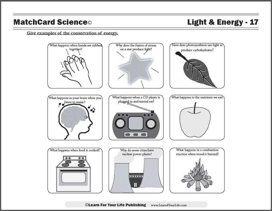 Overview of Energy Flow in Ecosystems