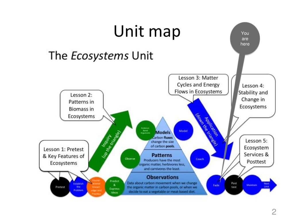 Example of energy flow in a food web: