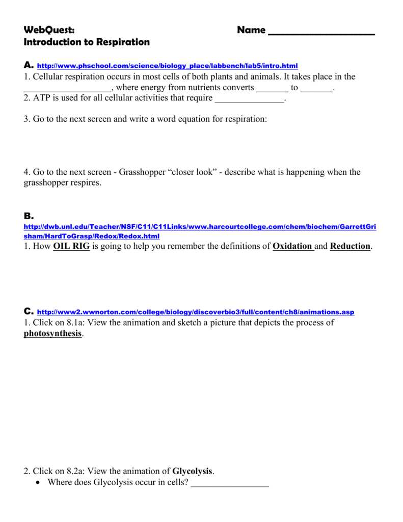What are enzymes?