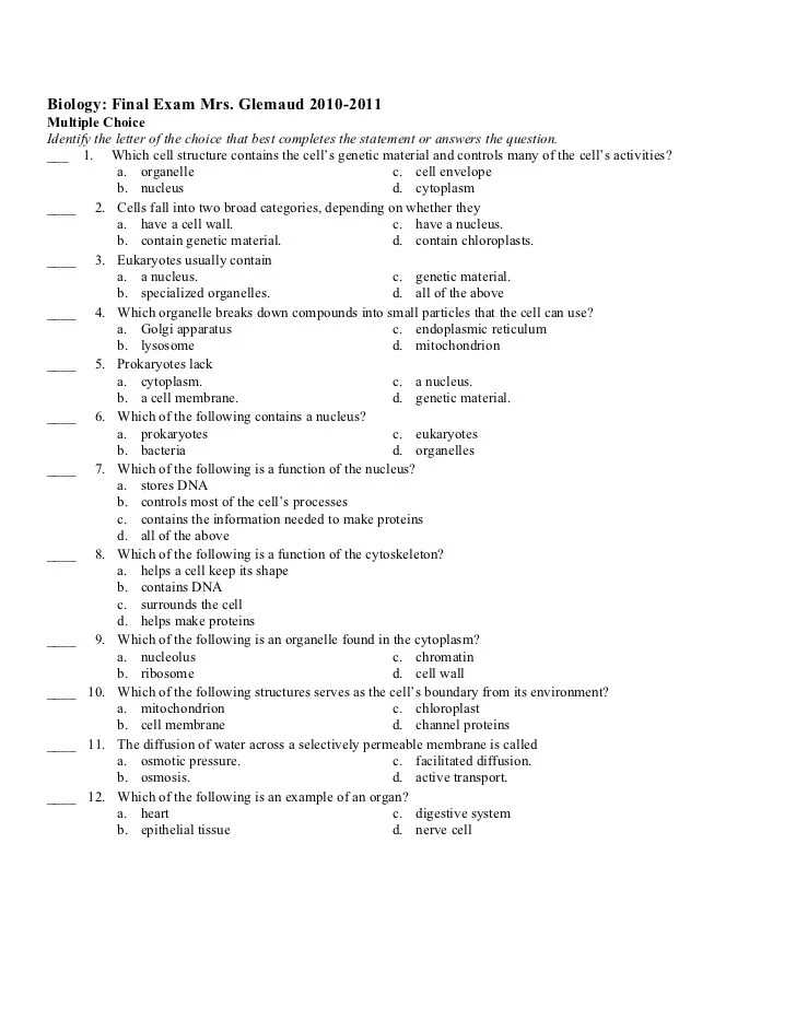 7. Algorithms: